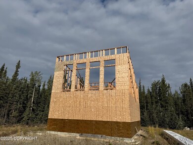 565 Chase Rd, Delta Junction, AK 99737 - photo 5