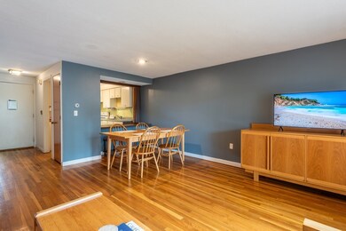 6 Webster Ct, Amherst, MA 01002 - photo 6