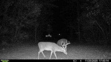 Parcel A&B Sunburst Dr, Crestview, FL 32539 - photo 7