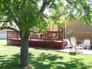 WOOD DECK