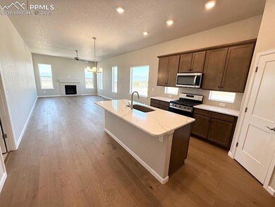 9463 Jollity Point, Colorado Springs, CO 80924 - photo 6