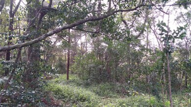 0 Shorewood Rd unit 858006, Jacksonville, FL 32210 - photo 6