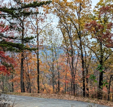 2317 Grey Fox Run, Sevierville, TN 37862 - photo 4