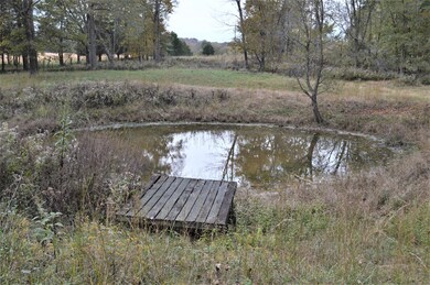 2964 Ownby Rd, Lewisburg, TN 37091 - photo 7