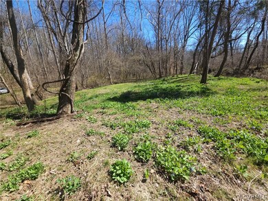 View of local cleared grassy area above the riverf