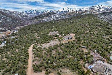 Bird's eye view with a mountain view