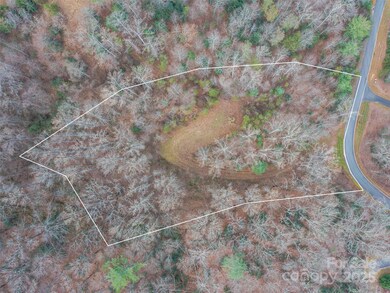 25 Autumn Shade Ct unit 75, Arden, NC 28704 - photo 3