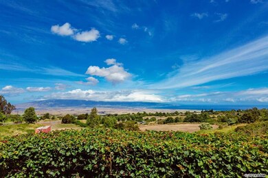 23 Kuinehe Place unit 35, Makawao, HI 96768 - photo 2