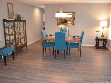 10707 Wynstone Place, Helotes, TX 78023 - photo 3