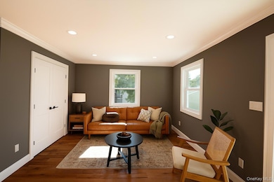 179 Hillsboro Ave, Elmont, NY 11003 - photo 5