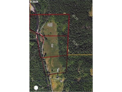 39933 Layng Creek Rd, Dorena, OR 97434 - photo 5