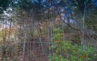 Additional View