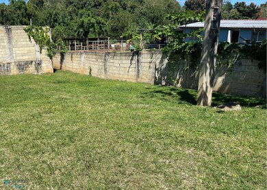 0 Bo Piedra Gorda Camuy unit 58986, Camuy, PR 00627 - photo 5