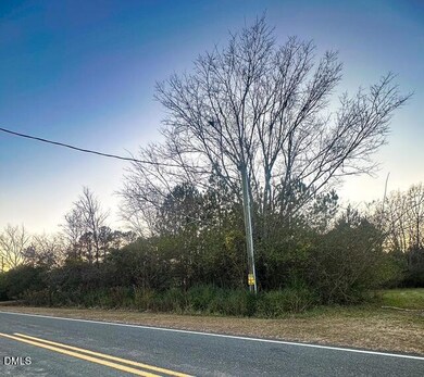 1037 Reed Rd, Castalia, NC 27816 - photo 6