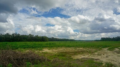 23.52 Ac Hwy 63 - S, Lucedale, MS 39452 - photo 4