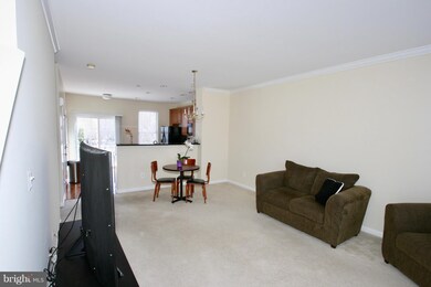 25364 Radke Terrace, Chantilly, VA 20152 - photo 5