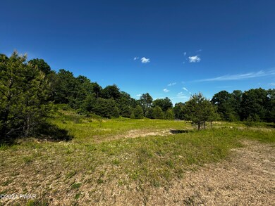 0 Urban Rd, Lords Valley, PA 18428 - photo 3