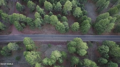 155 E Ski Run Rd, Williams, AZ 86046 - photo 2