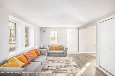 824 Pleasant St, Grand Ledge, MI 48837 - photo 5