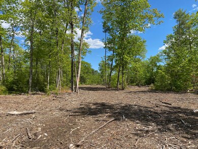 IMG_1406