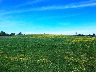 4535 Lexington Rd, Harrodsburg, KY 40330 - photo 4