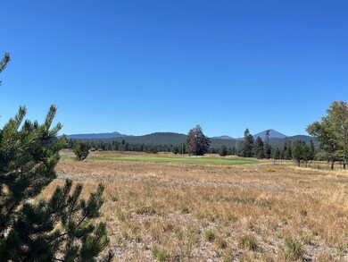 56565 Nest Pine Dr unit Lot 47, Bend, OR 97707 - photo 4