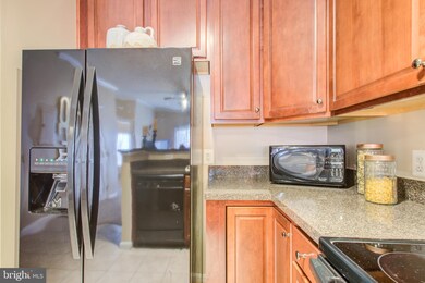 15614 Everglade Ln unit 404, Bowie, MD 20716 - photo 6
