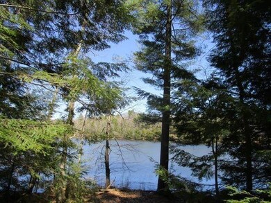 Pine Point 3