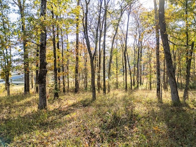 Lot 114 W Lakeshore Dr, Starkville, MS 39759 - photo 5