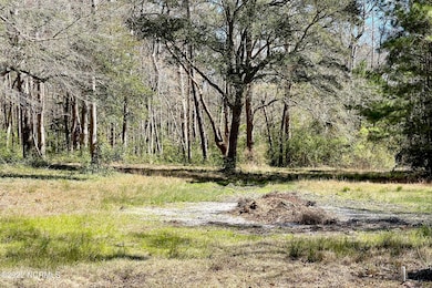 3570 Sasser Ln SW, Supply, NC 28462 - photo 4