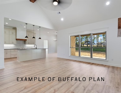 15 Jake Cove, Austin, AR 72007 - photo 6