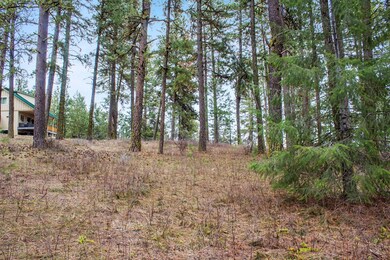Gentle Sloped Lot