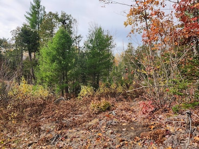 Lot C Fern Way, Hartford, ME 04220 - photo 5