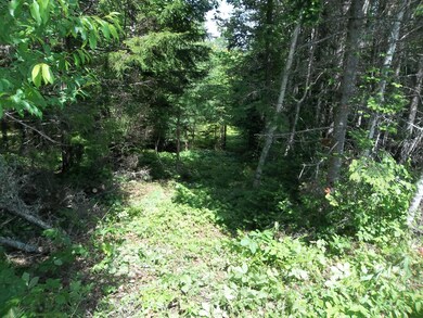 0 Gravel Pit Rd, Robbinston, ME 04671 - photo 5