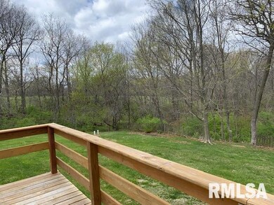 1456 Perbix Rd, Chapin, IL 62628 - photo 6