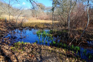 12 Old Man Mingo Ln, Aquinnah, MA 02535 - photo 7