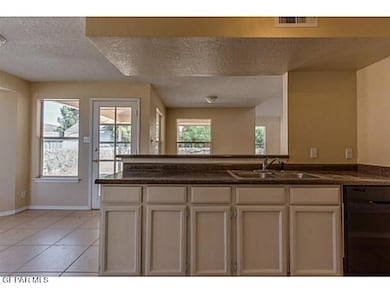 13928 Pete La Rue Cir, Horizon City, TX 79928 - photo 7