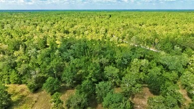 812 Hunters Trace, Crawfordville, FL 32327 - photo 7