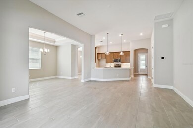 4931 Emerald Acres Way, Zephyrhills, FL 33541 - photo 7