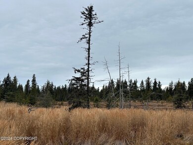 IMG_1986