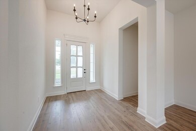 1008 Monaco Ct, Springtown, TX 76082 - photo 5