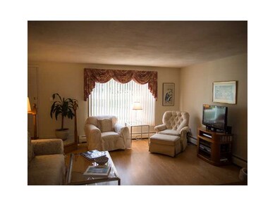 Living Room. Spacious living room with great natur