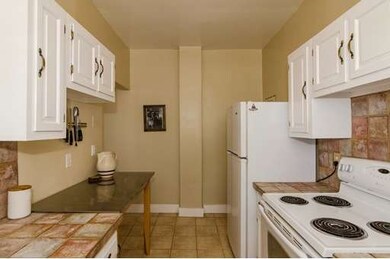 369 Tappan St unit 9, Brookline, MA 02445 - photo 5