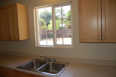 Kitchen window