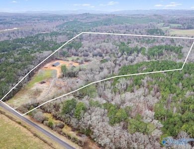 8355 Duck Springs Rd, Attalla, AL 35954 - photo 3