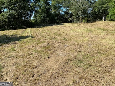 2363 Alvin Joiner Rd, Dublin, GA 31021 - photo 6