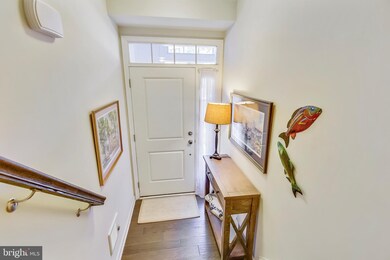 23544 Belvoir Woods Terrace, Ashburn, VA 20148 - photo 4