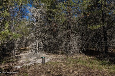 McDonald Creek Rd-1
