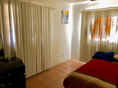 IMG_0111-1