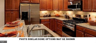 24590 Johnson Oak Terrace, Chantilly, VA 20152 - photo 3